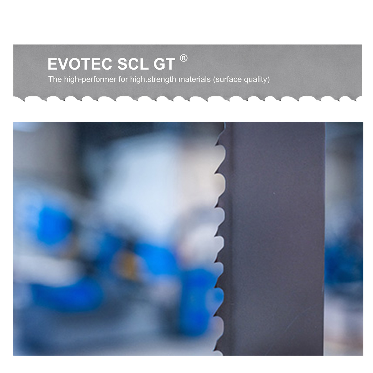 EVOTEC SCL GT 