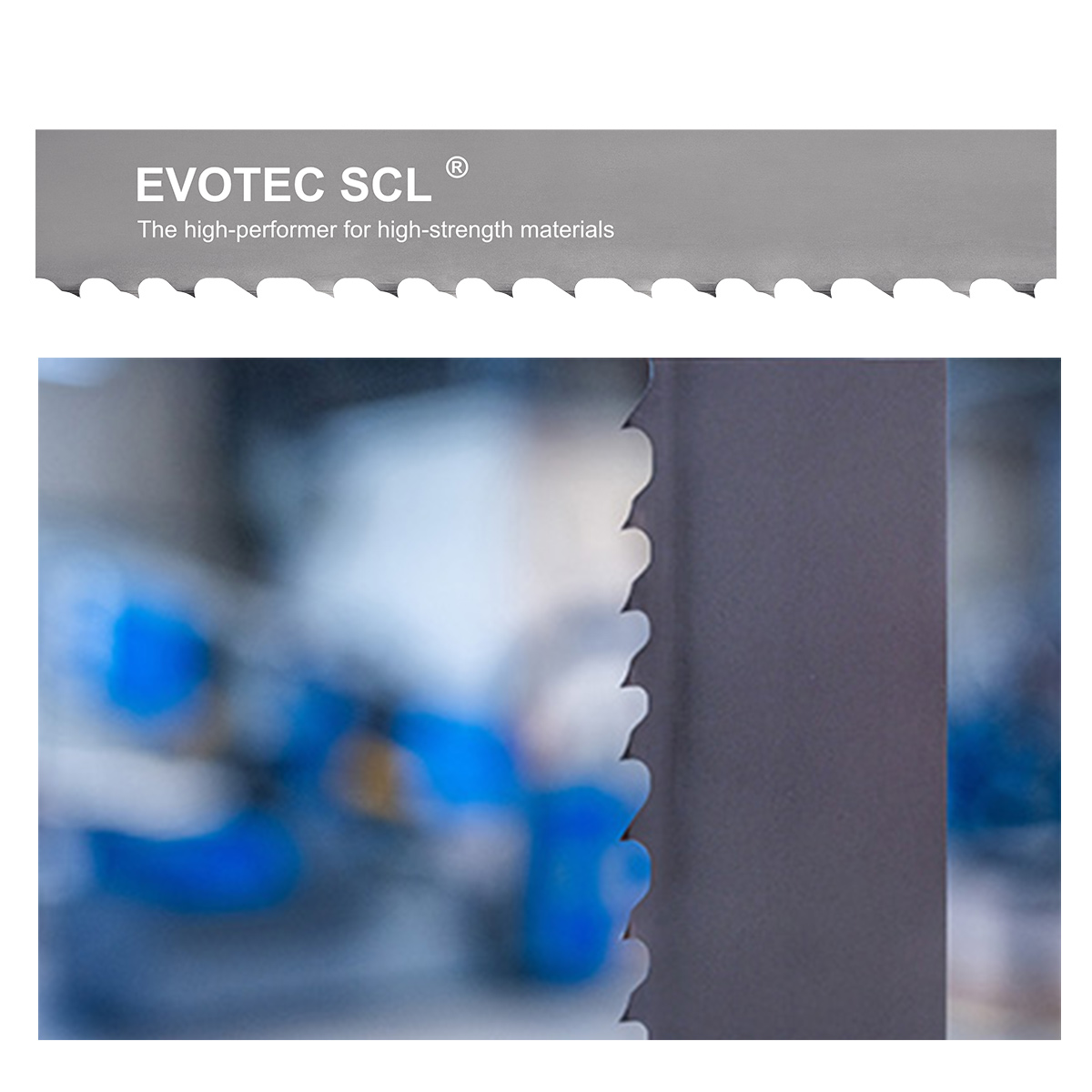 EVOTEC SCL