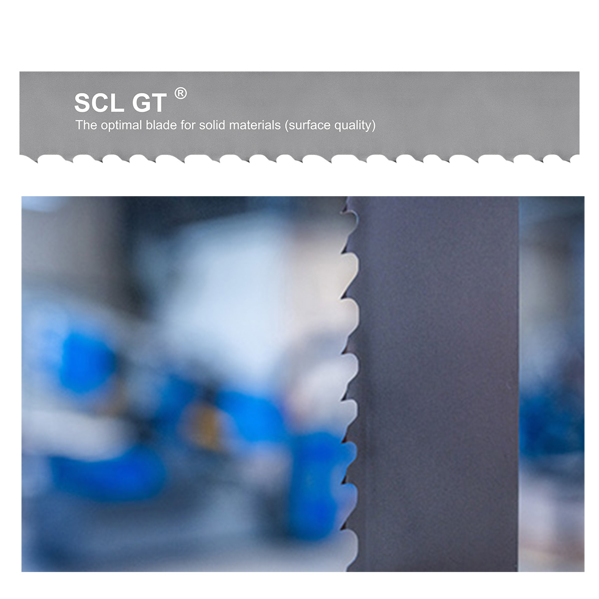 SCL GT